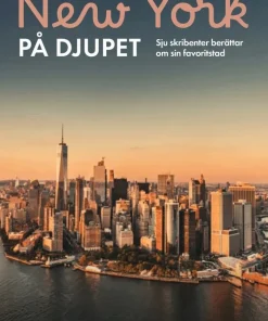 New York på djupet : sju skribenter berättar om sin favoritstad