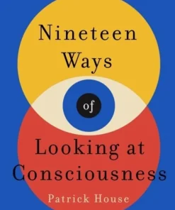 Nineteen Ways of Looking at Consciousness