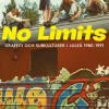 No Limits : graffiti och subkulturer i Luleå 1980-1991