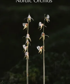 Nordens orkidéer : en fältguide / Nordic Orchids : a field guide