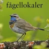 Norrlands bästa fågellokaler