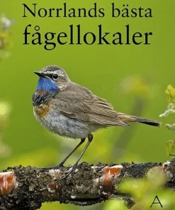Norrlands bästa fågellokaler