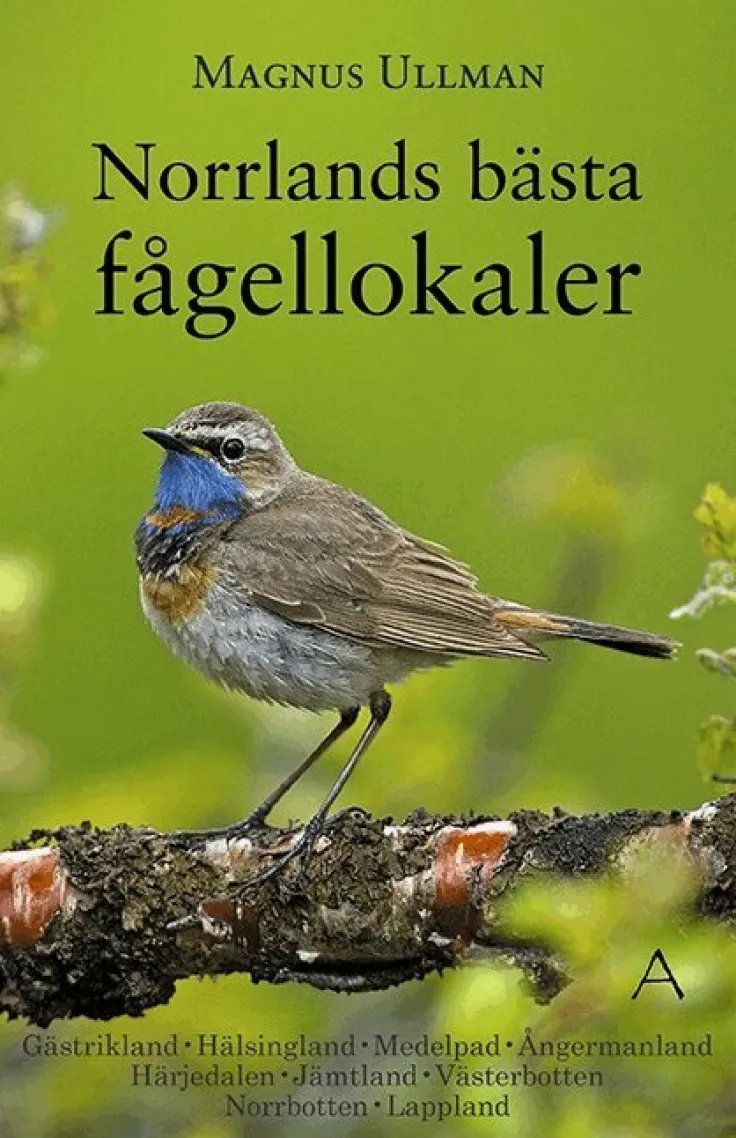 Norrlands bästa fågellokaler