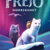 Norrskenet