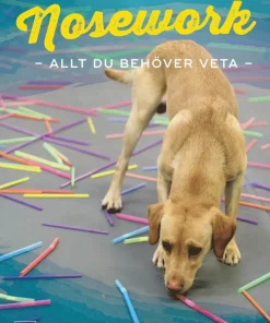 Nosework : allt du behöver veta