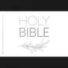 NRSVue Holy Bible with Apocrypha: New Revised Standard Version Updated Edition