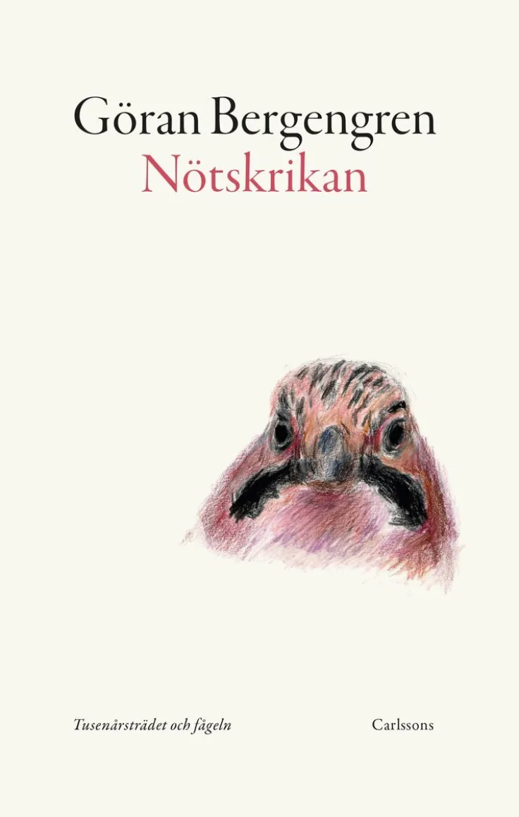 Nötskrikan : tusenårsträdet och fågeln