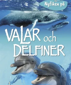 Nyfiken på valar och delfiner