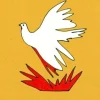 On Freedom