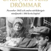 Onda nätters drömmar : november 1942 och andra världskrigets vändpunkt i 360 korta kapitel