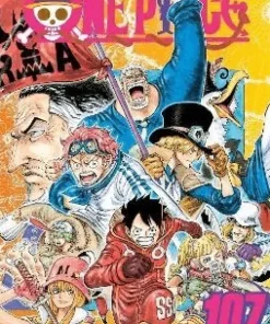 One Piece, Vol. 107