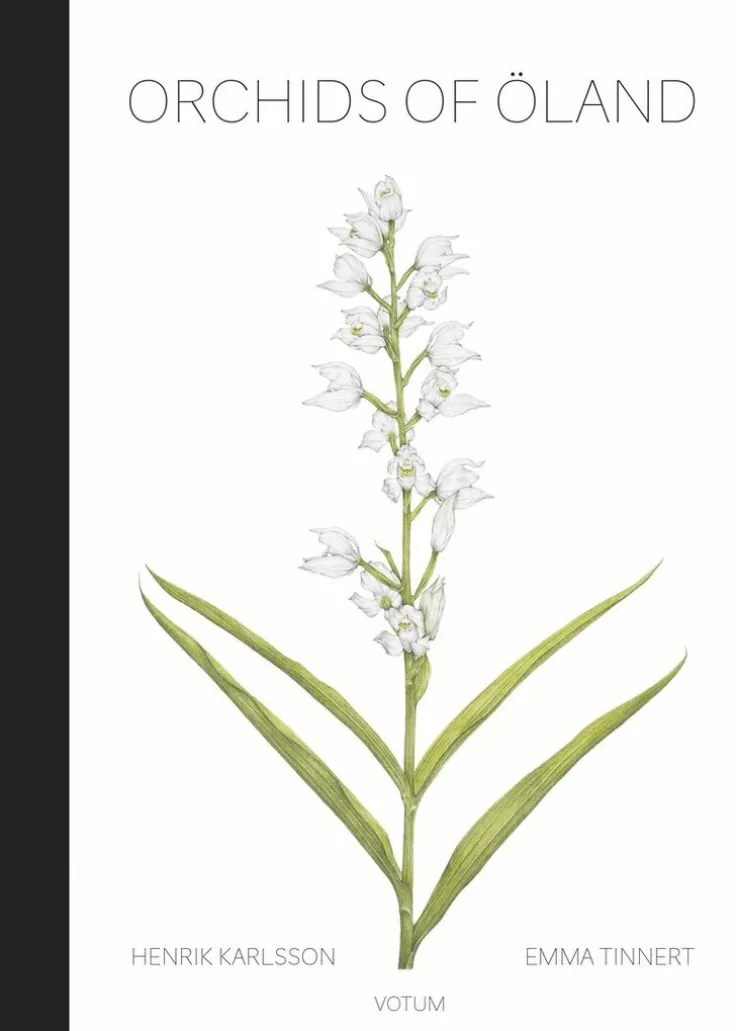 Orchids of Öland