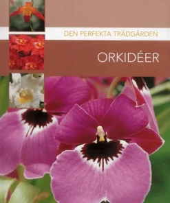 Orkidéer
