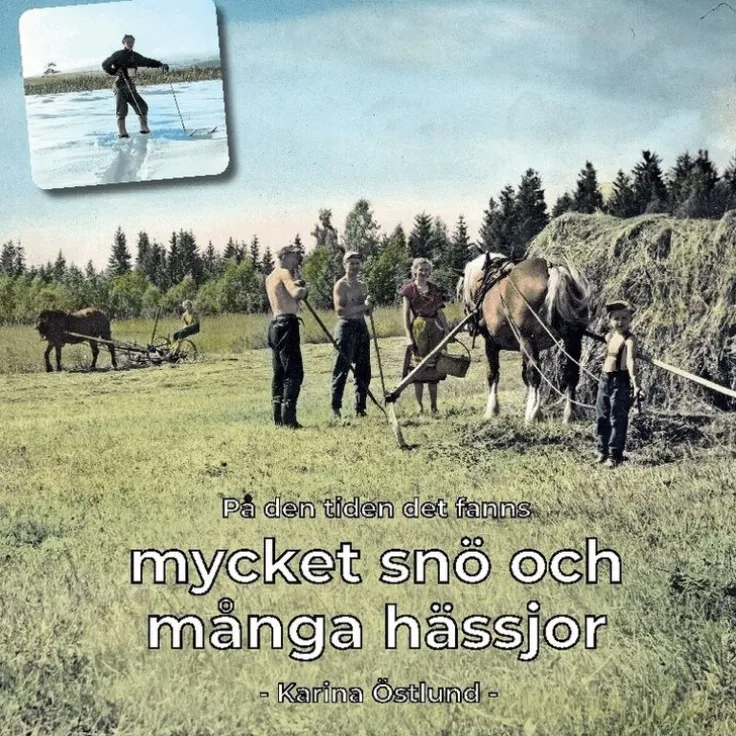 På den tiden det fanns mycket snö och många hässjor