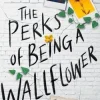 Perks of Being a Wallflower YA Edition