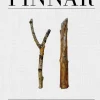 Pinnar