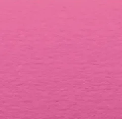 Placeringskort enkla 10-pack cerise