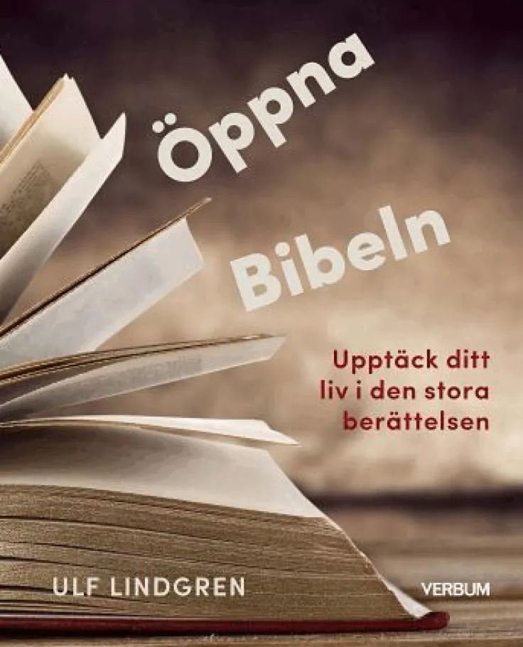 Öppna Bibeln : upptäck ditt liv i den stora berättelsen