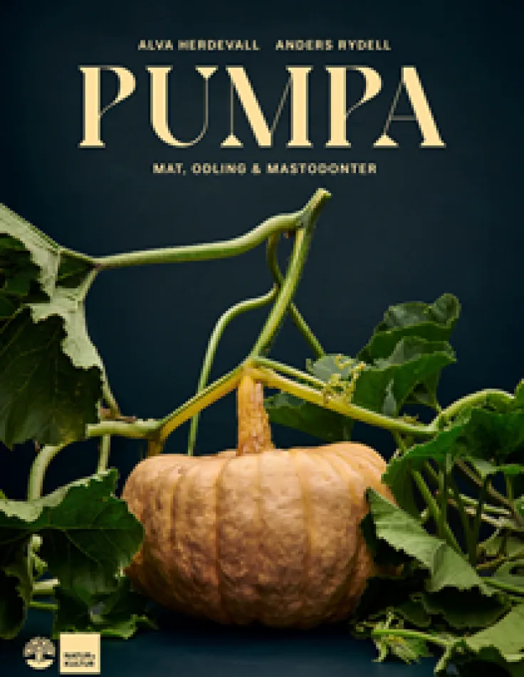 Pumpa : mat, odling & mastodonter