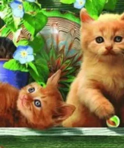 Pussel 500 bitar - Cats on the Shelf