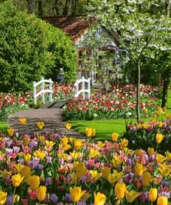 Pussel 1000 bitar - Keukenhof Gardens