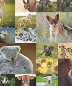 Pussel 200 bitar Animal Babies