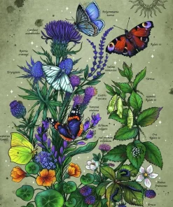 Pussel 1000 bitar Lifecircle Butterfly