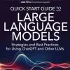 Quick Start Guide to Large Language Models