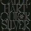 Quicksilver (svensk utgåva)