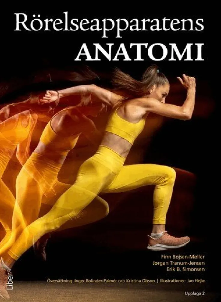 Rörelseapparatens anatomi