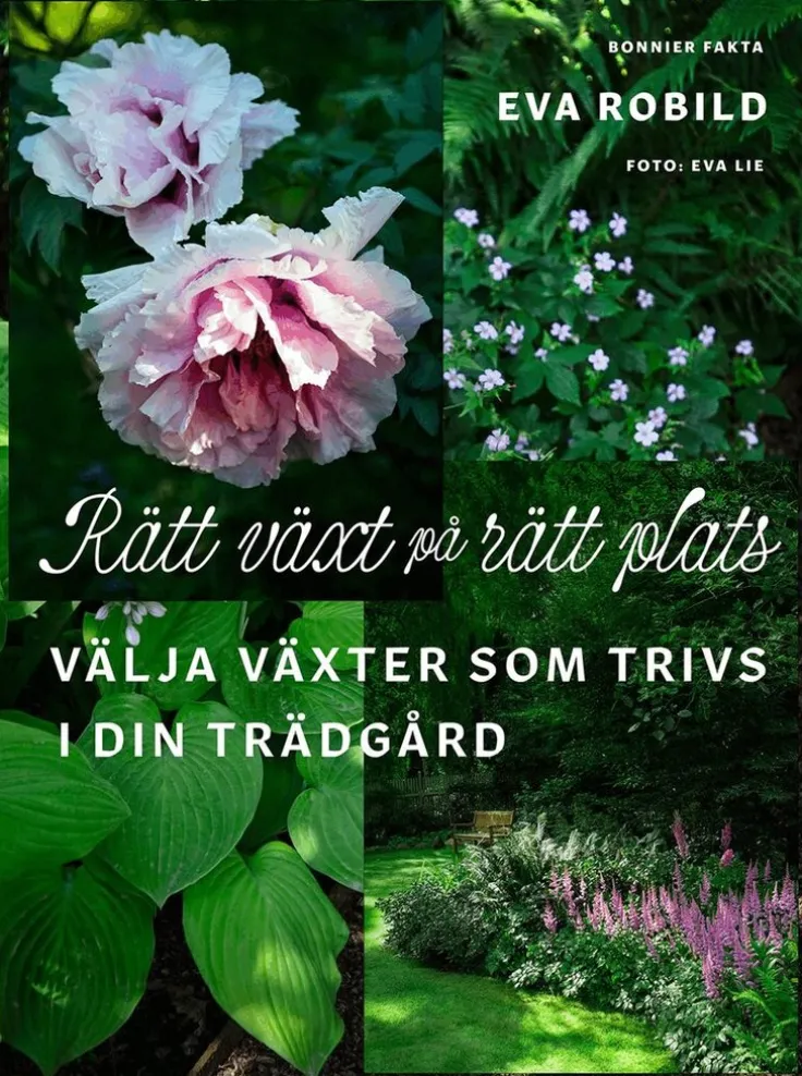 Rätt växt på rätt plats : välja växter som trivs i din trädgård