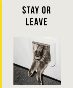 School of Life - Stay or Leave