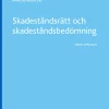 Skadeståndsrätt och skadeståndsbedömning