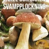 Säker svampplockning : de vanligaste svamparna