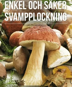 Säker svampplockning : de vanligaste svamparna