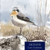 Skisser