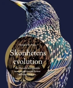 Skönhetens evolution : hur Darwins bortglömda teori om det sexuella urvalet formar djurriket - och oss
