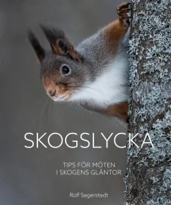Skogslycka : tips för möten i skogens gläntor