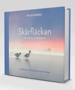 Skärfläckan : den gracila vadaren