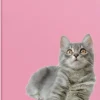 Skrivhäfte A4 linjerad Katt/Hund