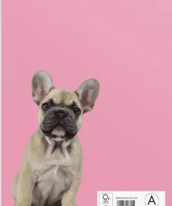 Skrivhäfte A4 linjerad Katt/Hund