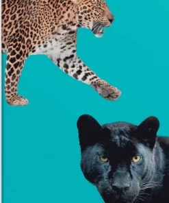 Skrivhäfte A5 linjerad Leoparder