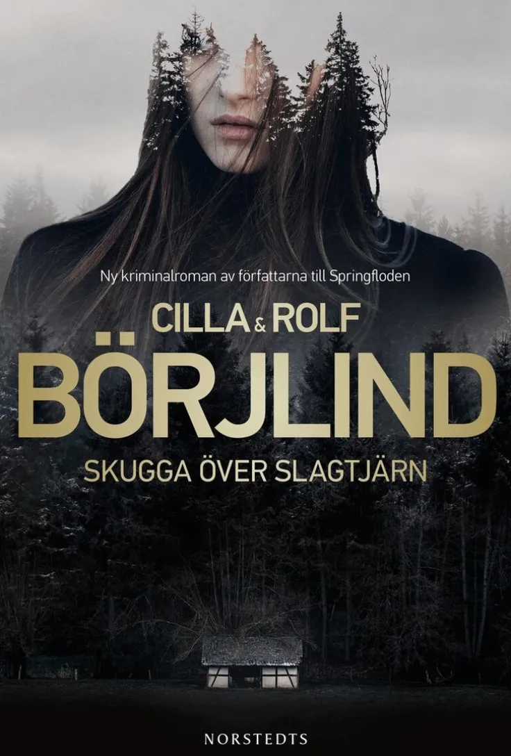 Skugga över Slagtjärn