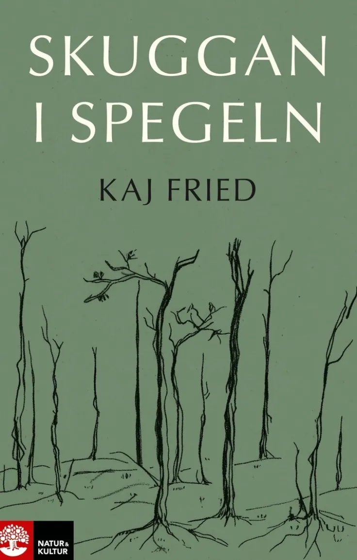 Skuggan i spegeln