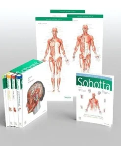 Sobotta Atlas of Anatomy, Package, 17th ed., English/Latin
