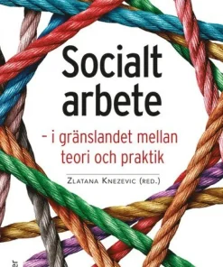 Socialt arbete : i gränslandet mellan teori och praktik
