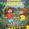 Sommarkompisen