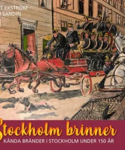 Stockholm brinner : kända bränder i Stockholm