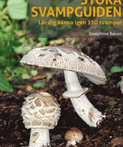 Stora svampguiden : Lär dig känna igen 150 svampar