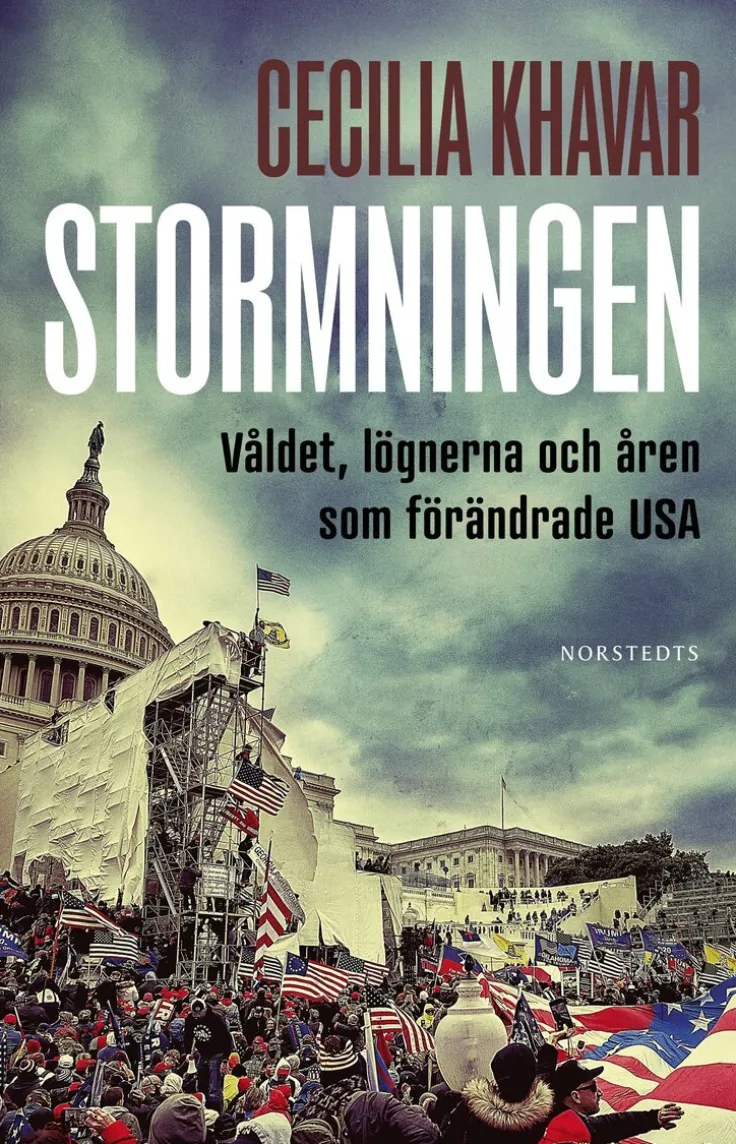 Stormningen : våldet, lögnerna och åren som förändrade USA